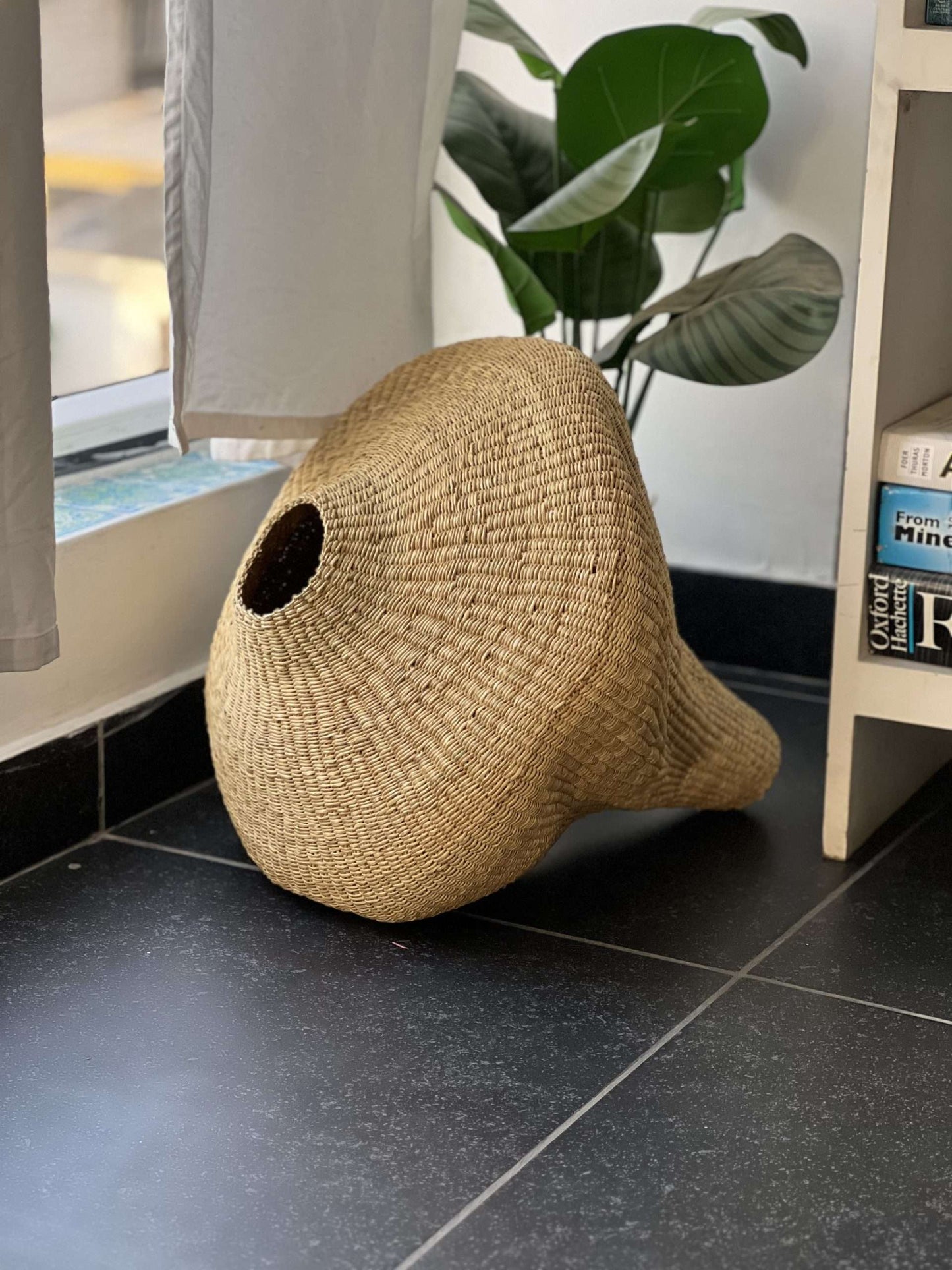 The Shell Art Basket