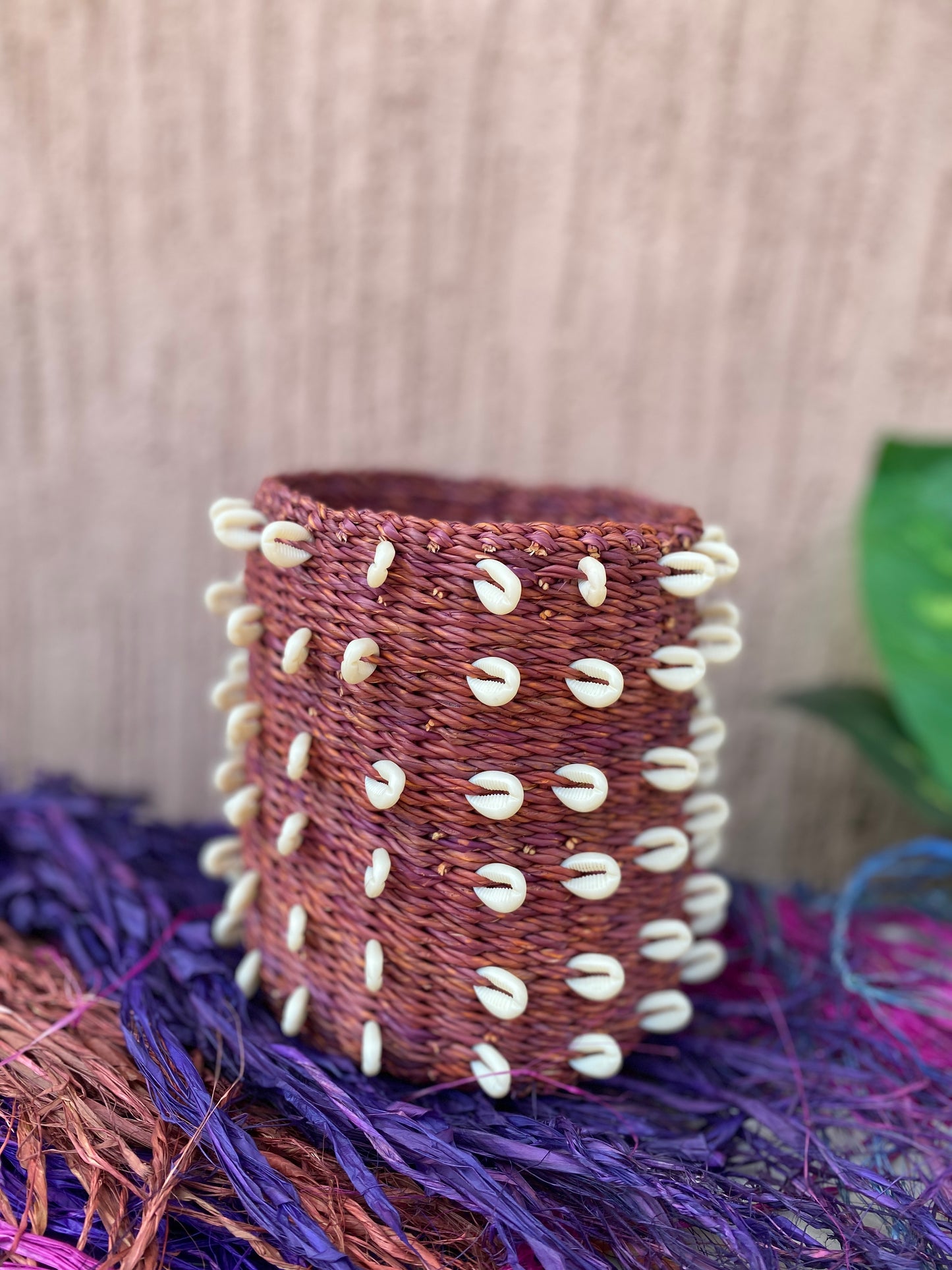 Sahara Shell Planter