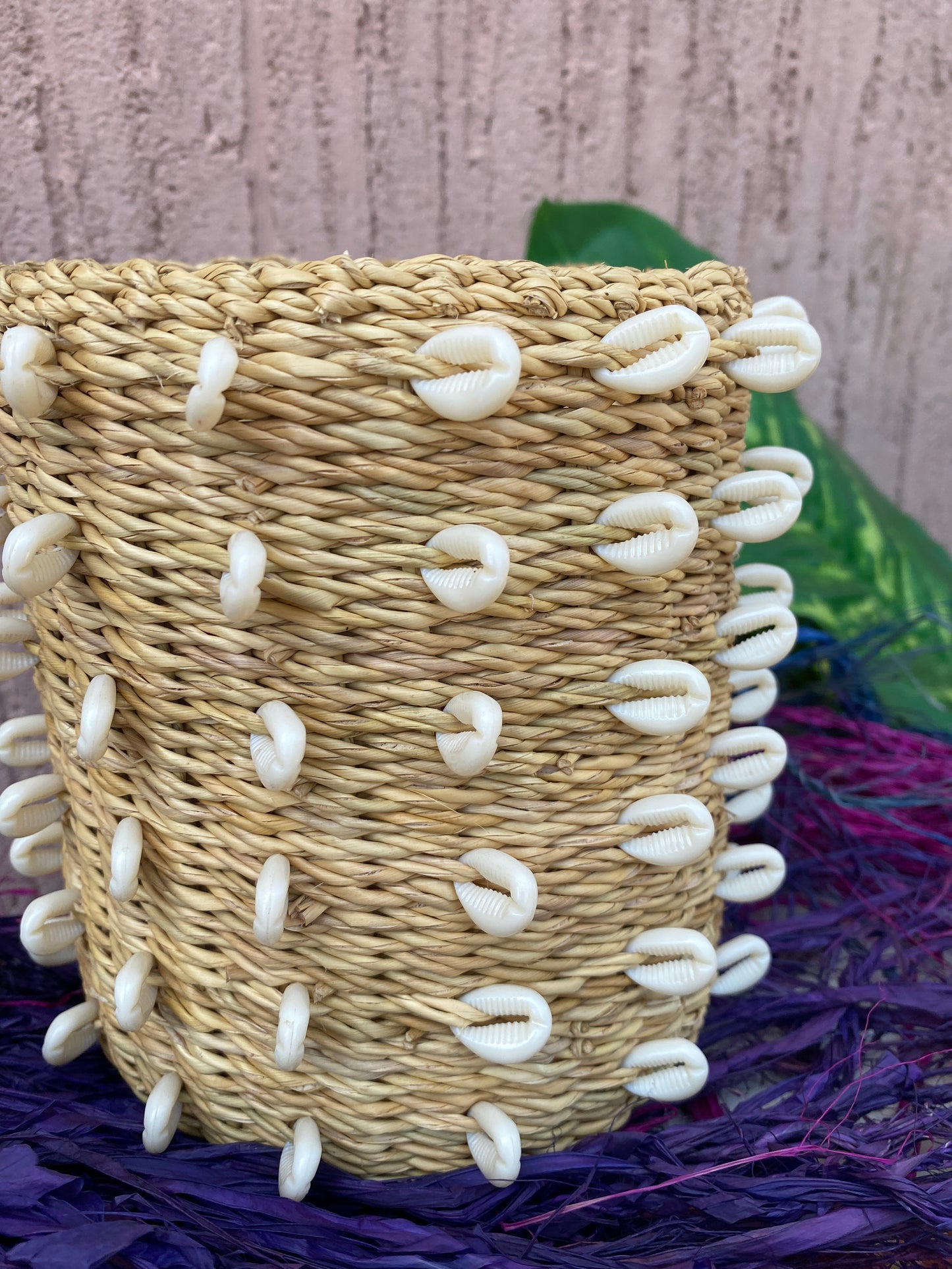 Sahara Shell Planter