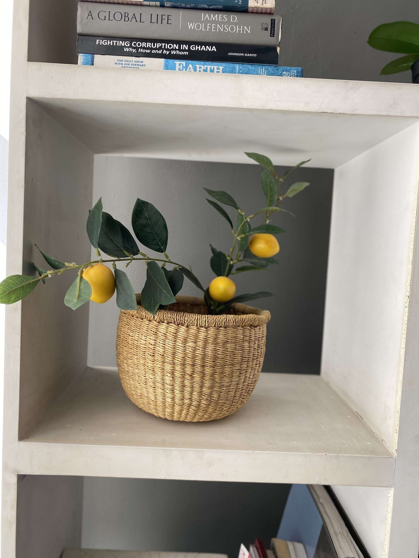 Ada Mini planter basket