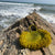 Wasawasa woven Beach Bag