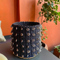Sahara Shell Planter