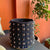 Sahara Shell Planter