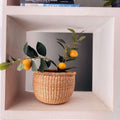 Ada Mini planter basket