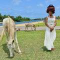 Bucketi Natural Hat